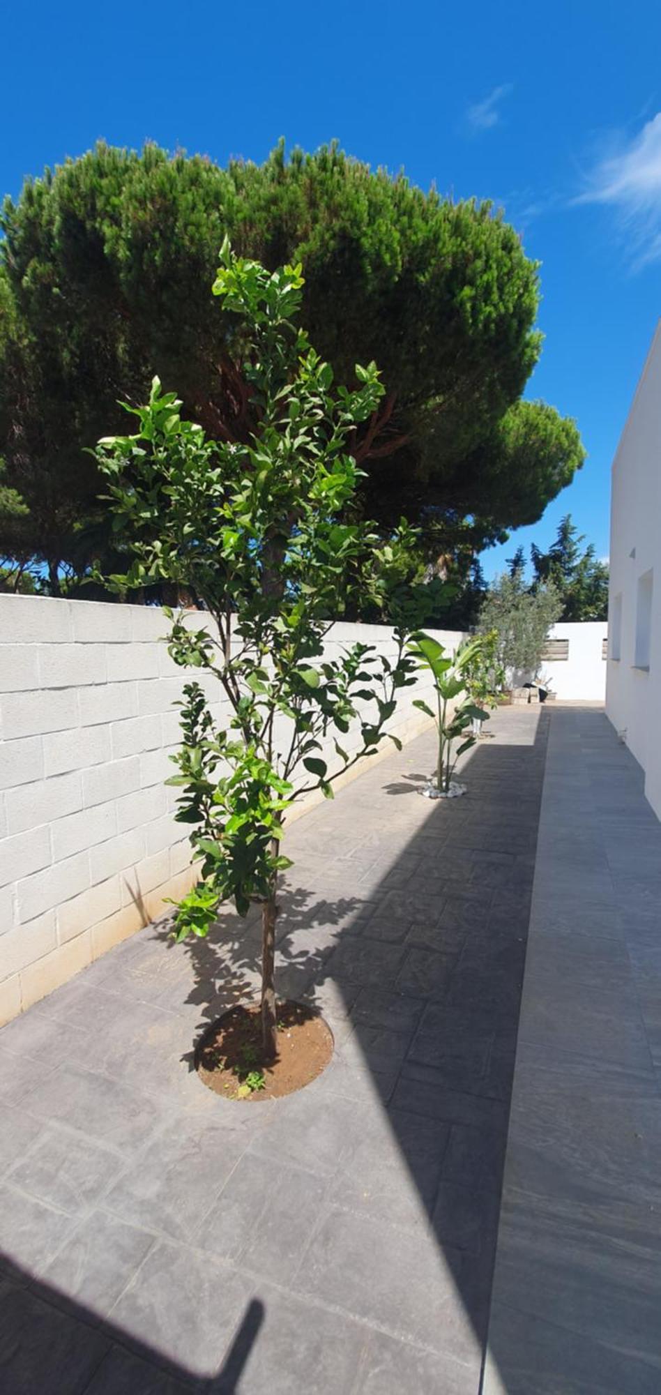 Villa Cristal Chiclana de la Frontera Exterior foto